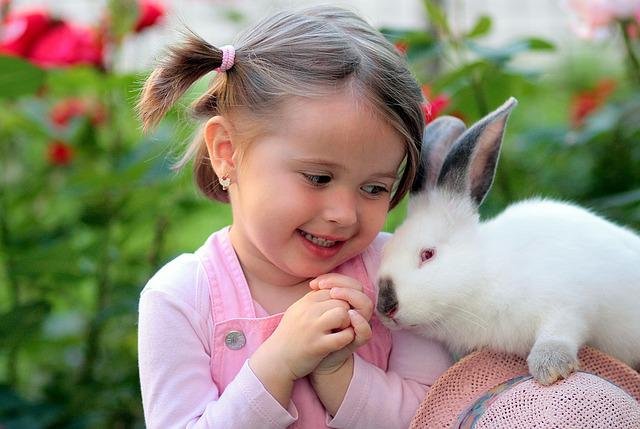 little girl looking at the rabbit on her shoulder