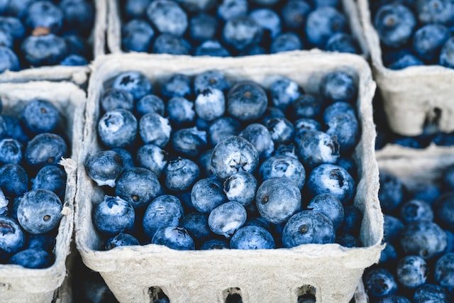 a stock of blueberries in a storage